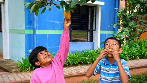 kids eating star fruit